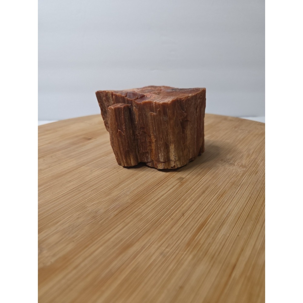 Natural Raw Petrified Wood Specimen Fossil 1.5 lbs 4" x 2.5" Rough Display